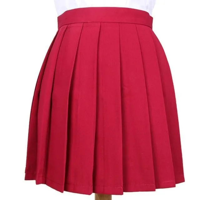 Traditional Pleated Skirt (up to 3XL)