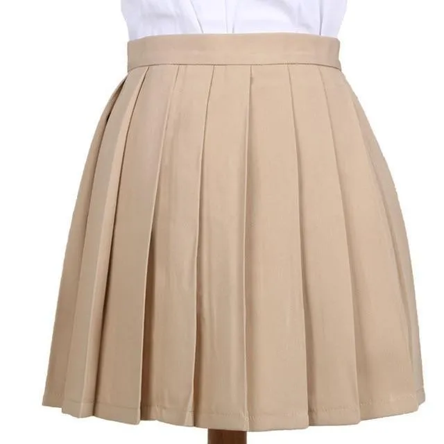 Traditional Pleated Skirt (up to 3XL)