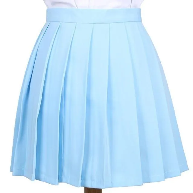 Traditional Pleated Skirt (up to 3XL)